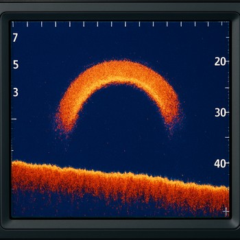 Sonar screenshot showing unexpected fish arches at midday depth