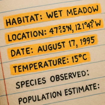 Close-up of highlighted experiment lines in a field notebook