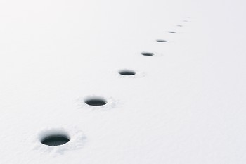 Daytime row of drilled ice holes fading into the distance